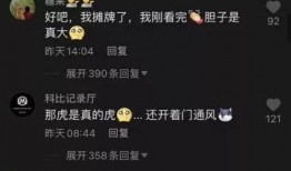 厦门事件爆料视频大全,真相与争议全解析